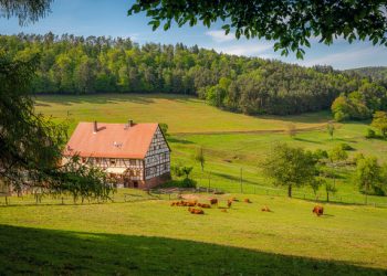 Jessica Fulk’s Real Talk: OP’s Meridian Project is Blowing Up (And Your Wallet Might Too)