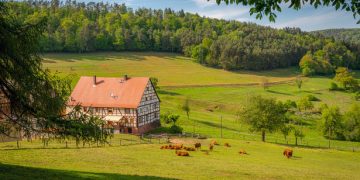 Jessica Fulk’s Real Talk: OP’s Meridian Project is Blowing Up (And Your Wallet Might Too)