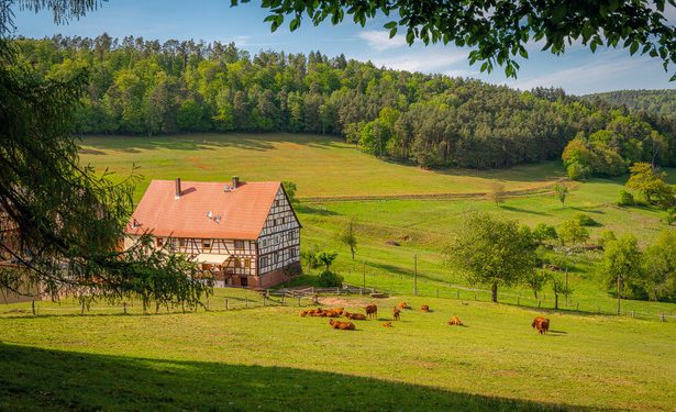 Jessica Fulk’s Real Talk: OP’s Meridian Project is Blowing Up (And Your Wallet Might Too)