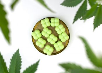 Why CBD Gummies Are a Top Choice for Wellness in the UK