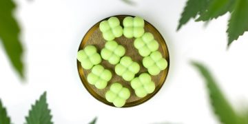 Why CBD Gummies Are a Top Choice for Wellness in the UK